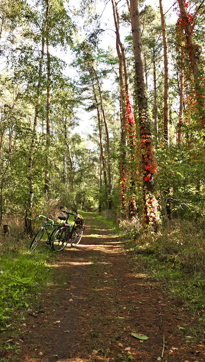 Wittenberge Ortsteil Lindenberg