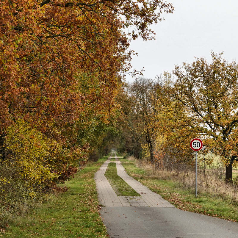 November Laub bei Lenzen