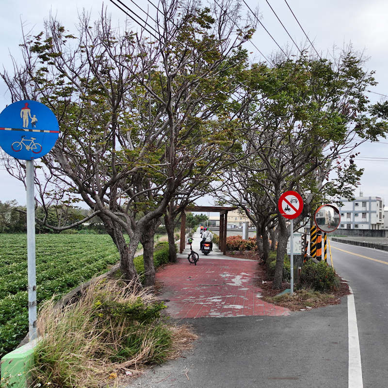 Cycling to Lugang